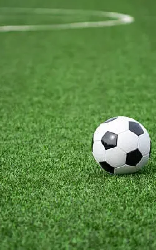 istockphoto-2215918317-612x612